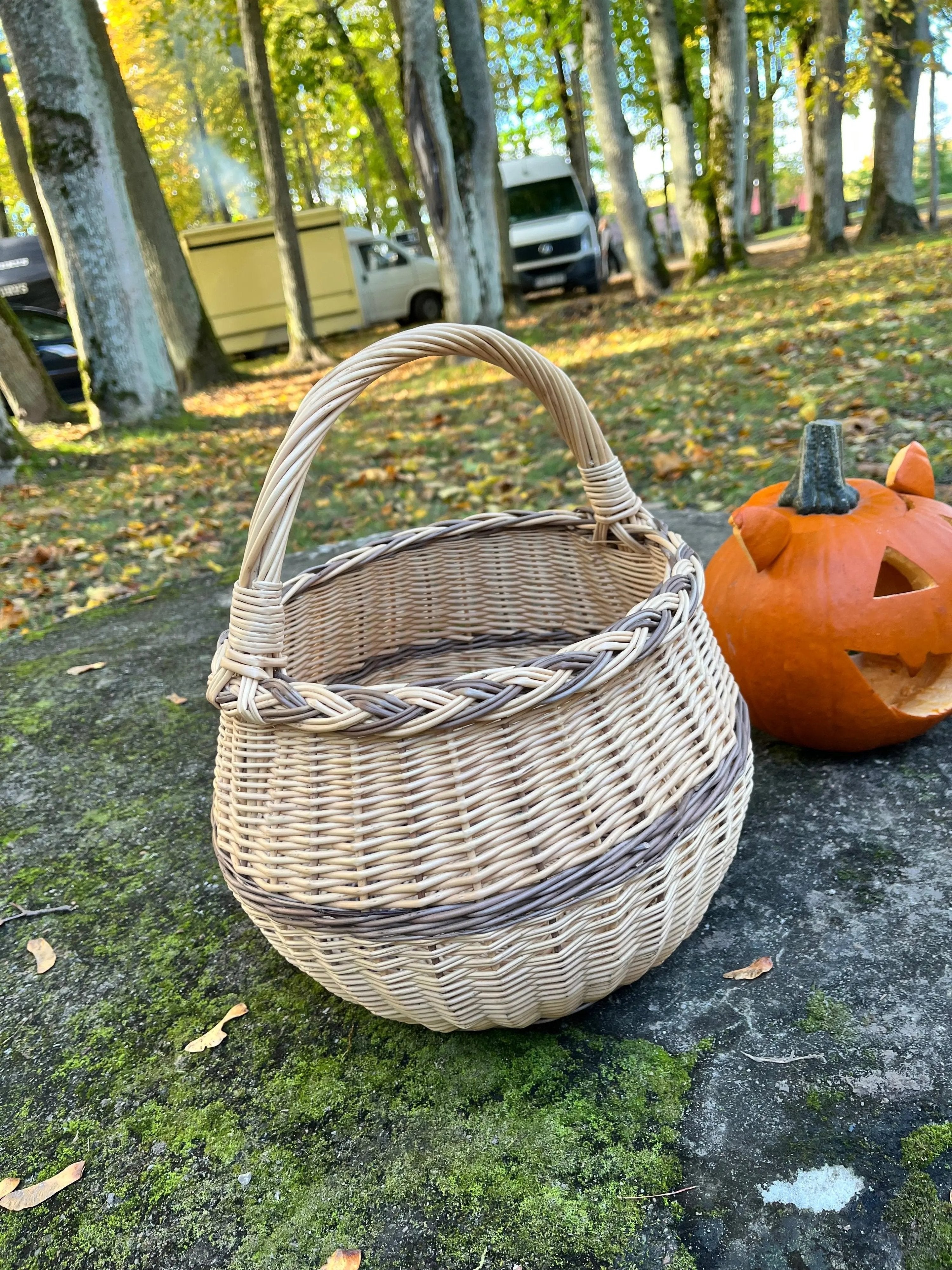 Artisan Wicker Basket – Handwoven Willow Rustic Storage Basket With Braided Handle - NaturelyWoven
