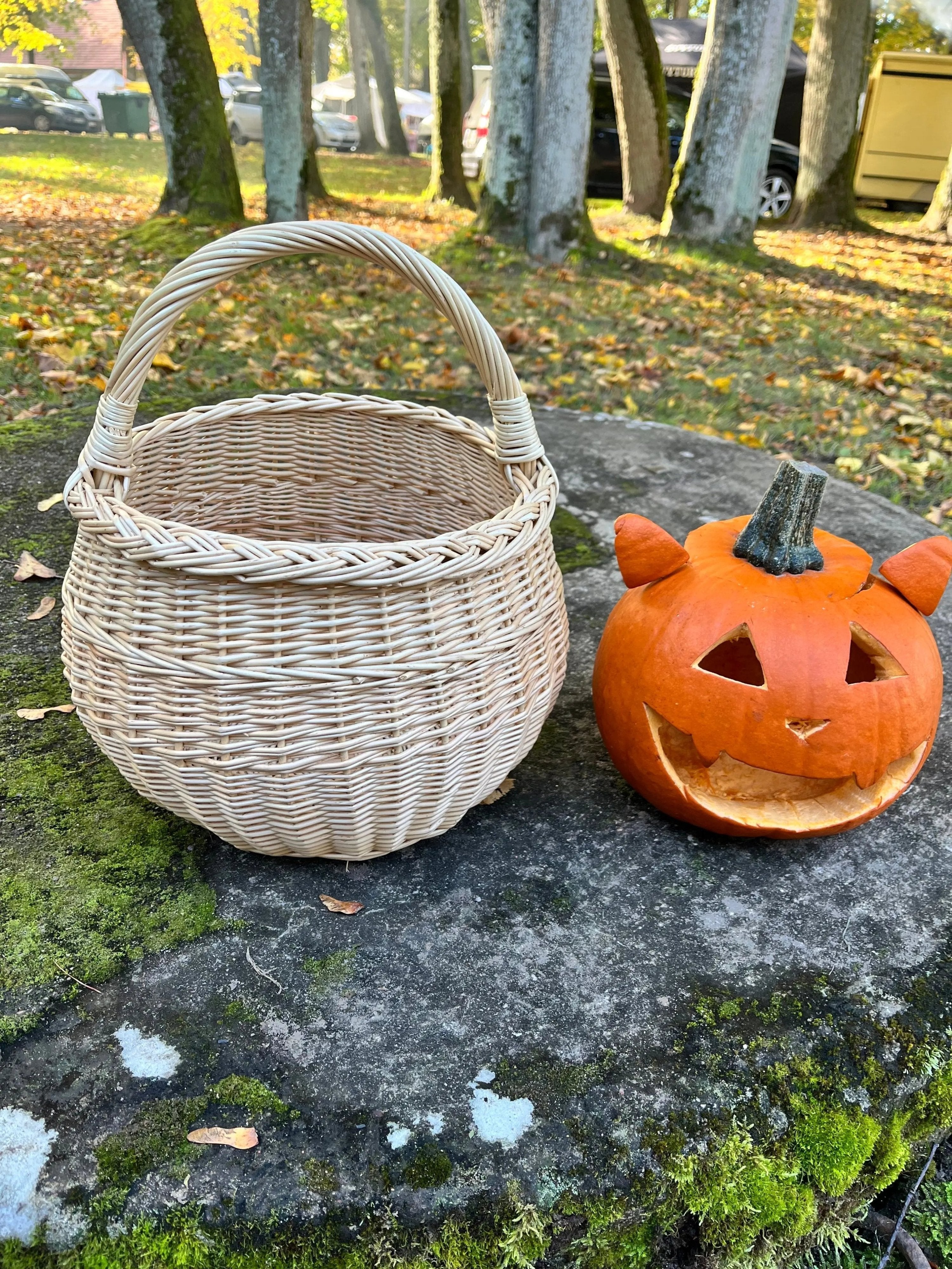 Artisan Wicker Basket – Handwoven Willow Rustic Storage Basket With Braided Handle - NaturelyWoven