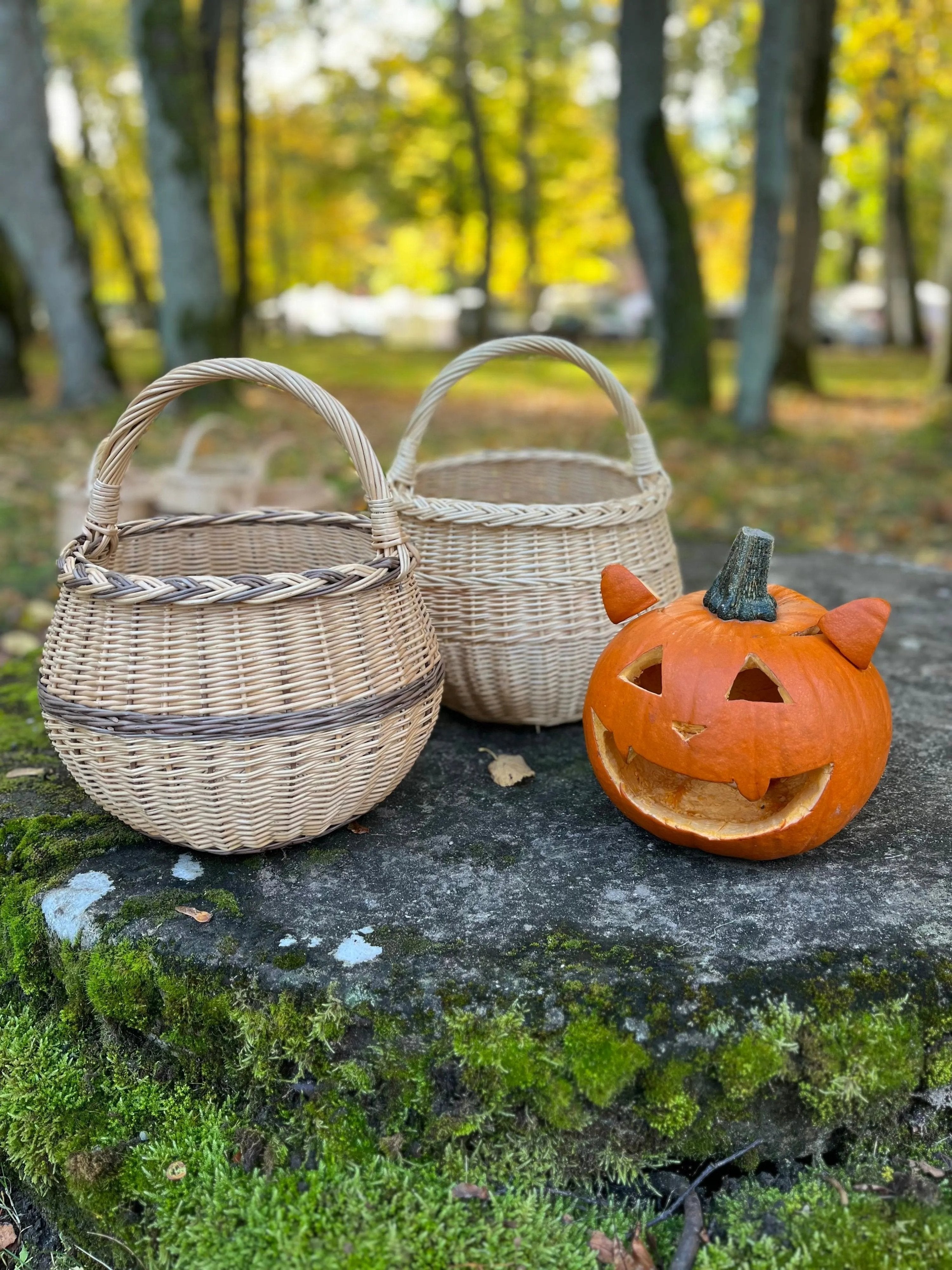 Artisan Wicker Basket – Handwoven Willow Rustic Storage Basket With Braided Handle - NaturelyWoven