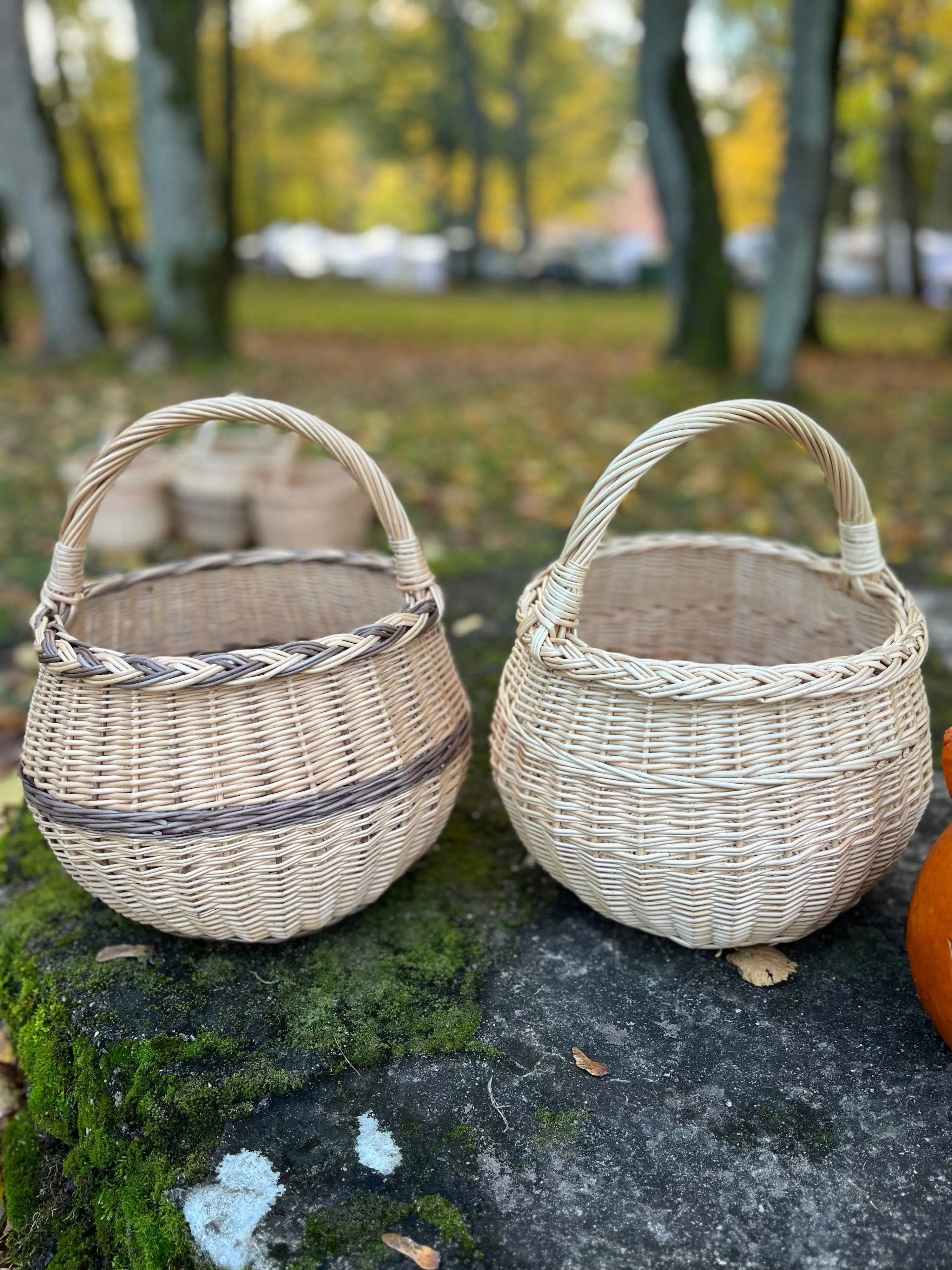 Artisan Wicker Basket – Handwoven Willow Rustic Storage Basket With Braided Handle - NaturelyWoven