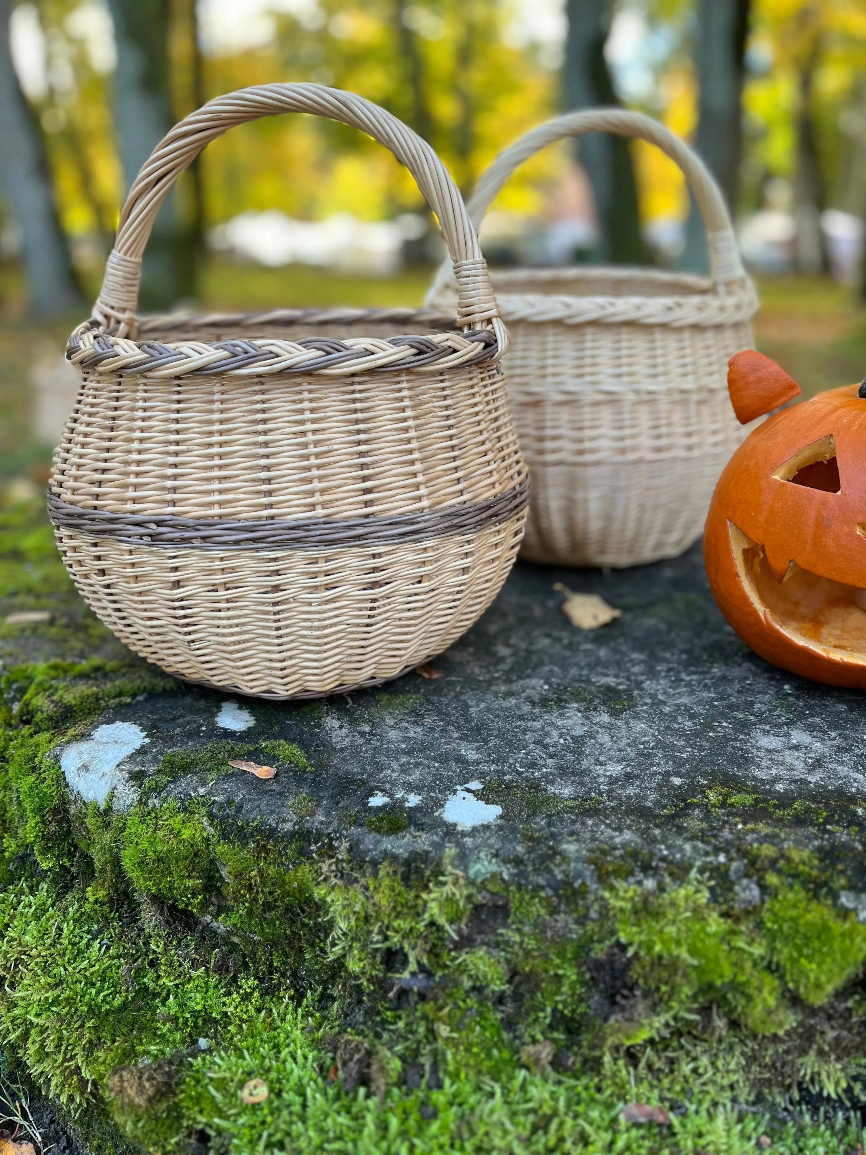 Artisan Wicker Basket – Handwoven Willow Rustic Storage Basket With Braided Handle - NaturelyWoven