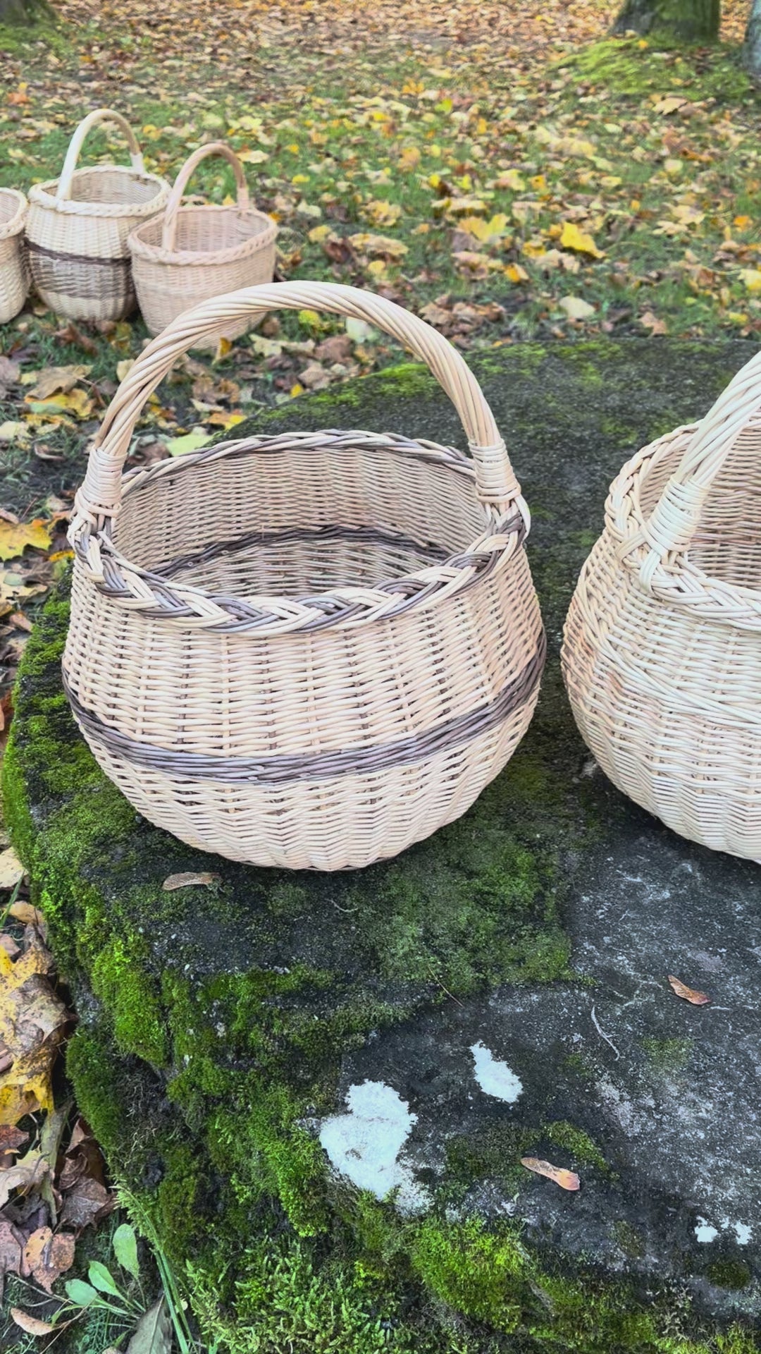 Vidutinė apvali pintinė