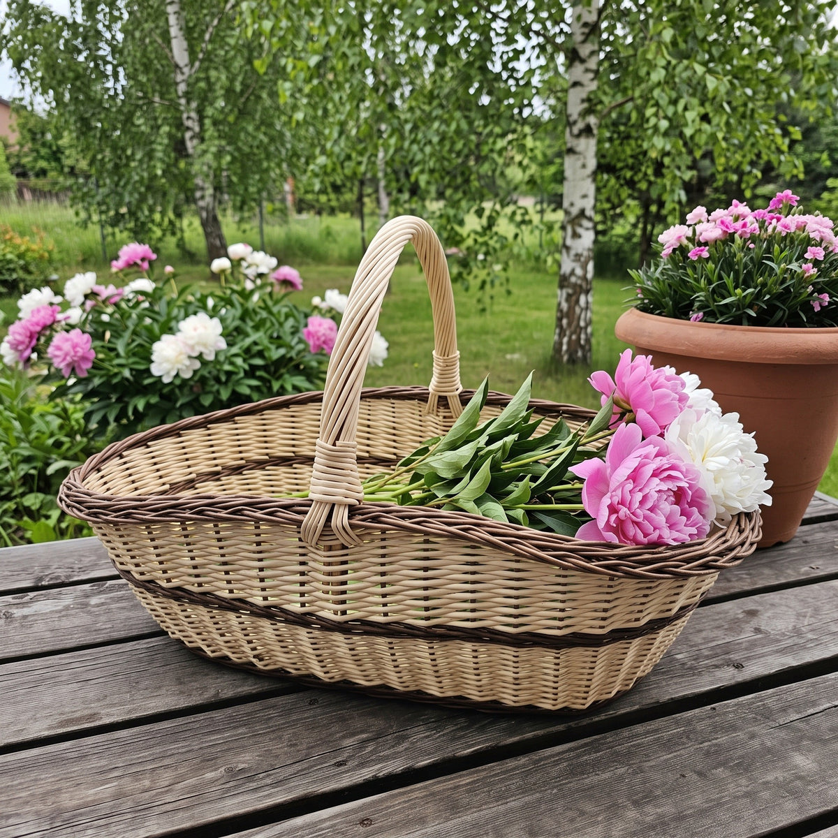 Labai didelė sodo pintinė su susukta rankena, pilna šviežių bijūnų, ant stalo vasaros sode tarp beržų