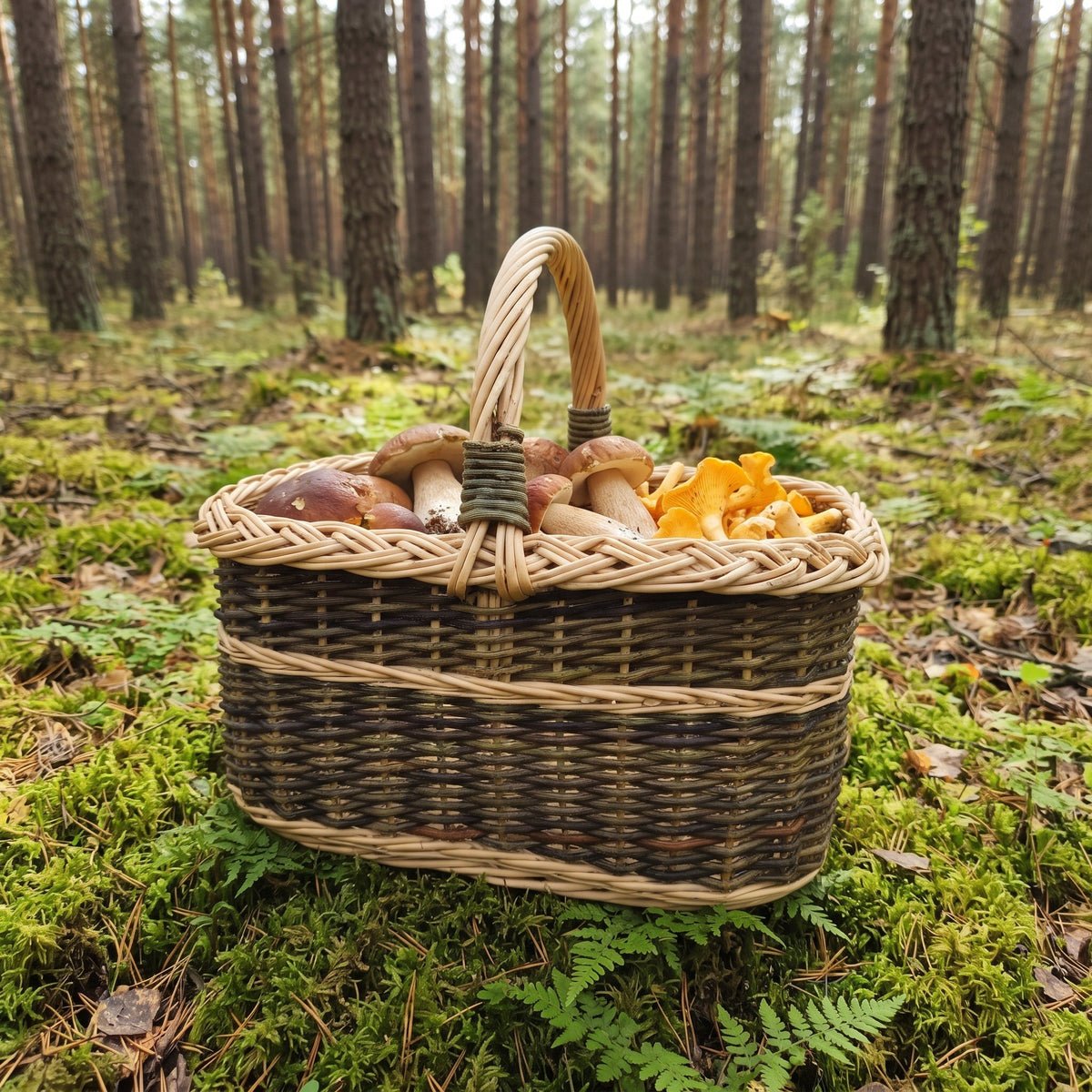 Stačiakampė pintinė su rankena, joje baravykai ir voveraitės, ant samanų miške tarp paparčių
