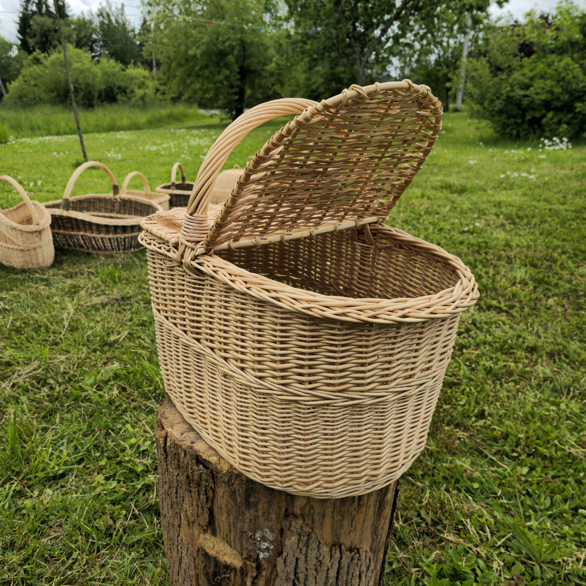 Pikniko pintinė su pakeltu dangčiu ant kelmo sode, už jos ant žolės kitos pintinės