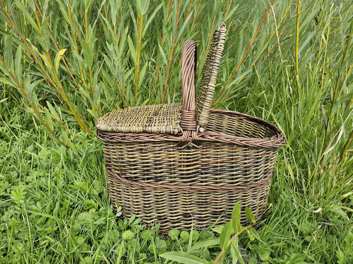 Pikniko pintinė iš neluptų vytelių su rankena per vidurį ir pravertu dangčiu aukštoje žolėje