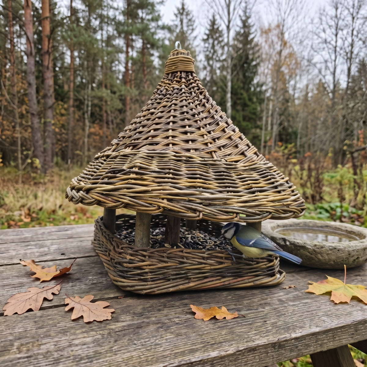 Vytelių lesykla su pintu stogeliu ir kvadratiniu padėklu ant sodo stalo tarp rudens lapų, mėlynoji zylė lesa sėklas