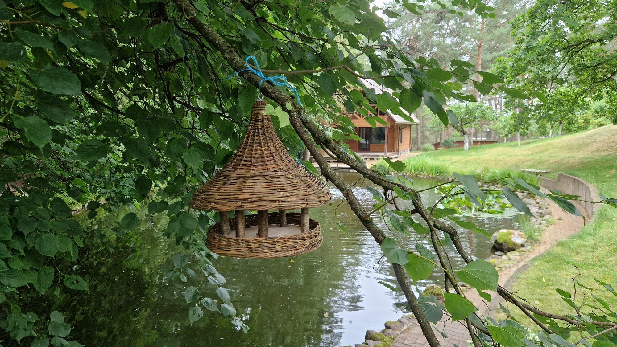 Paukščių lesyklėlė