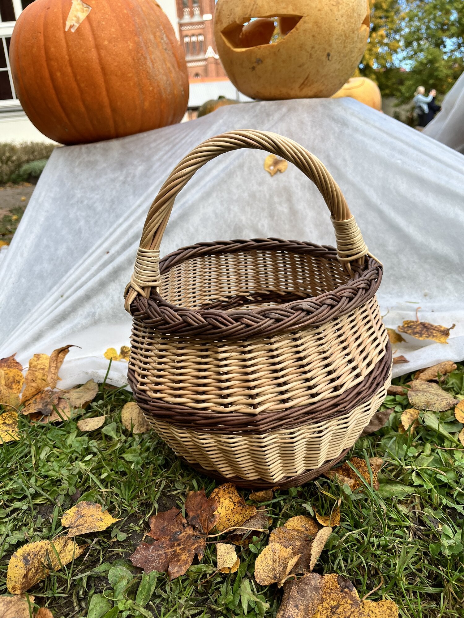 Maža gėlių pintinė su rankena