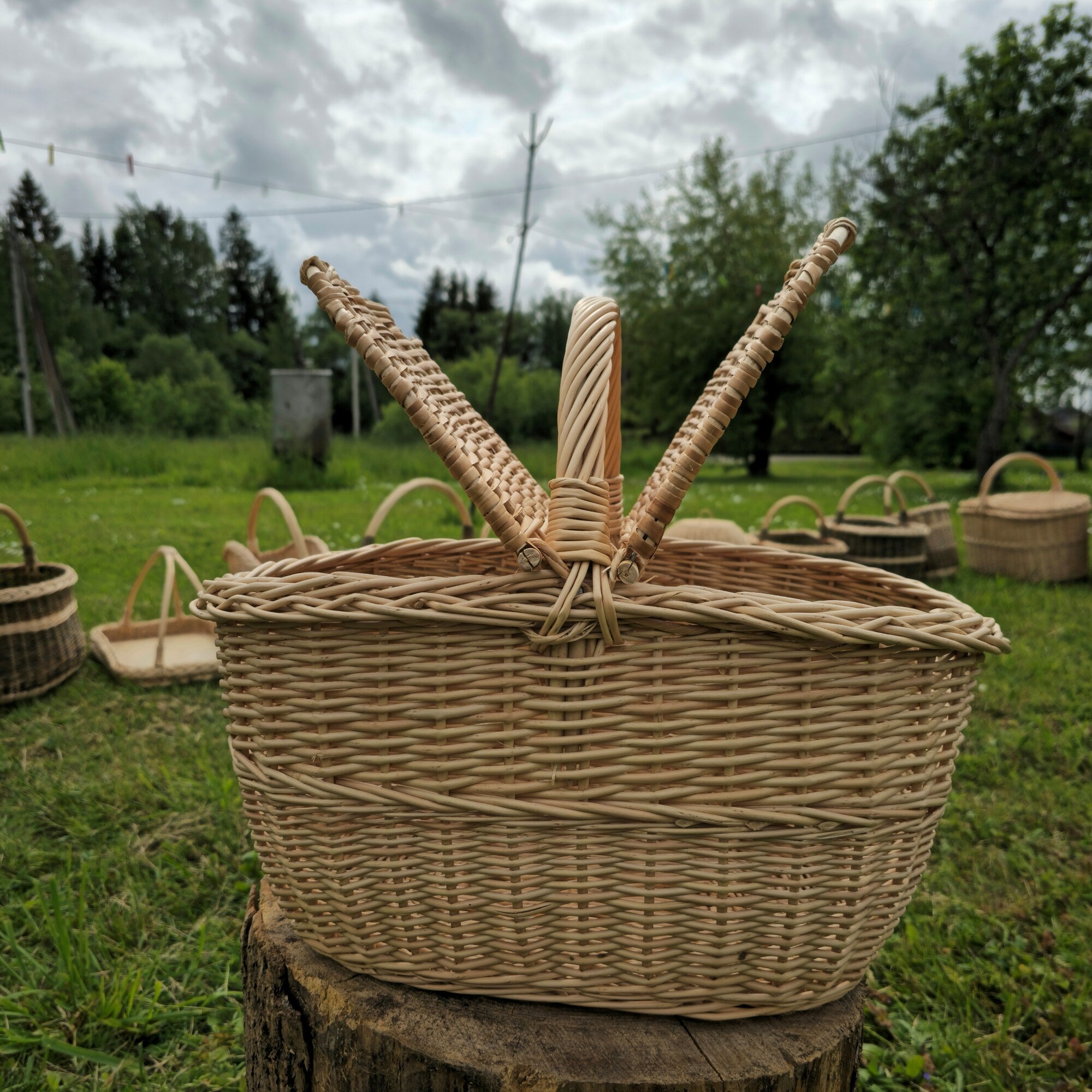 Pikniko pintinė su dviem dangčiais