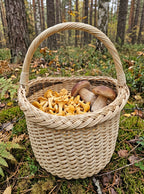 Grybų pintinė, pilna voveraičių ir baravykų, ant samanotos pušyno paklotės