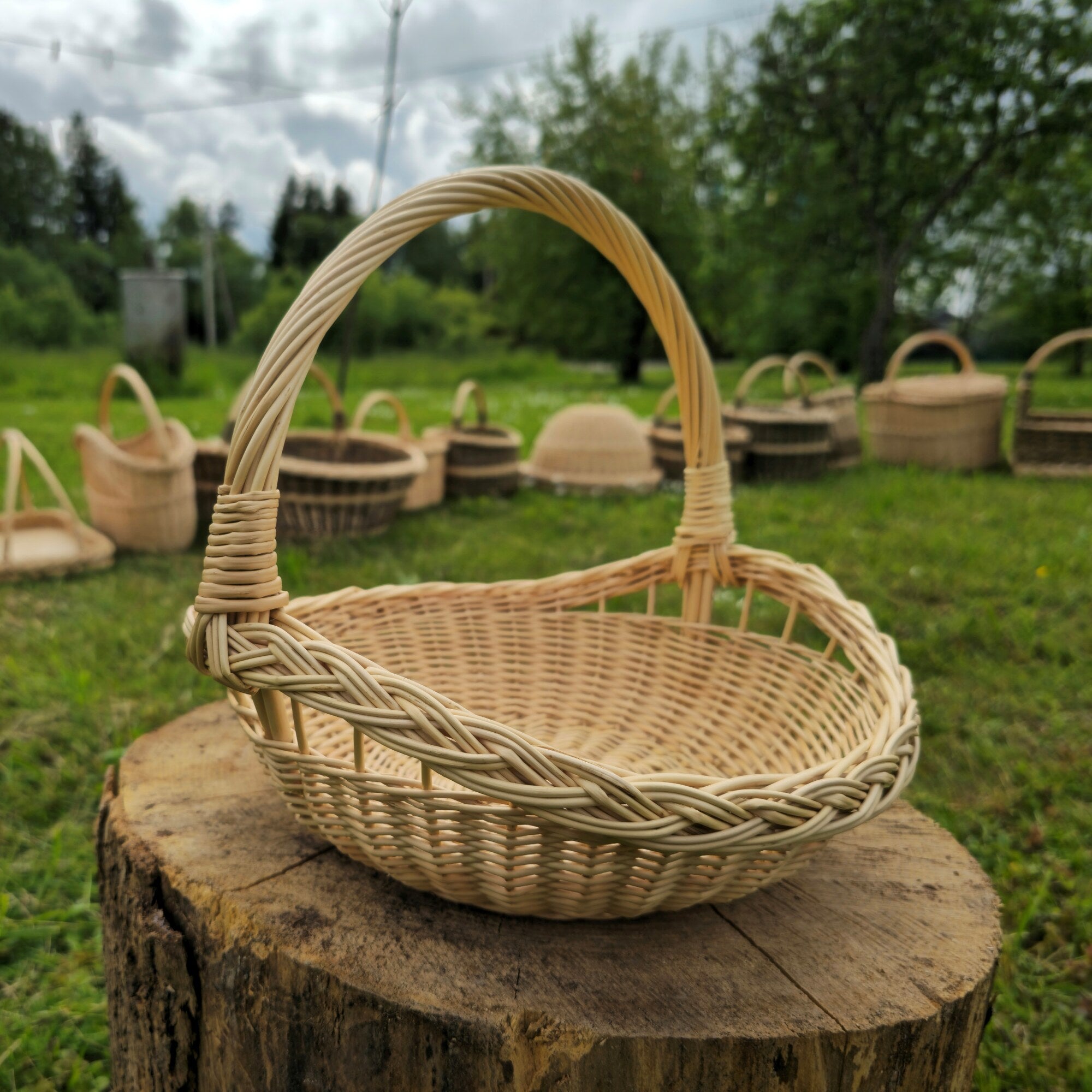 Pintinė 024b