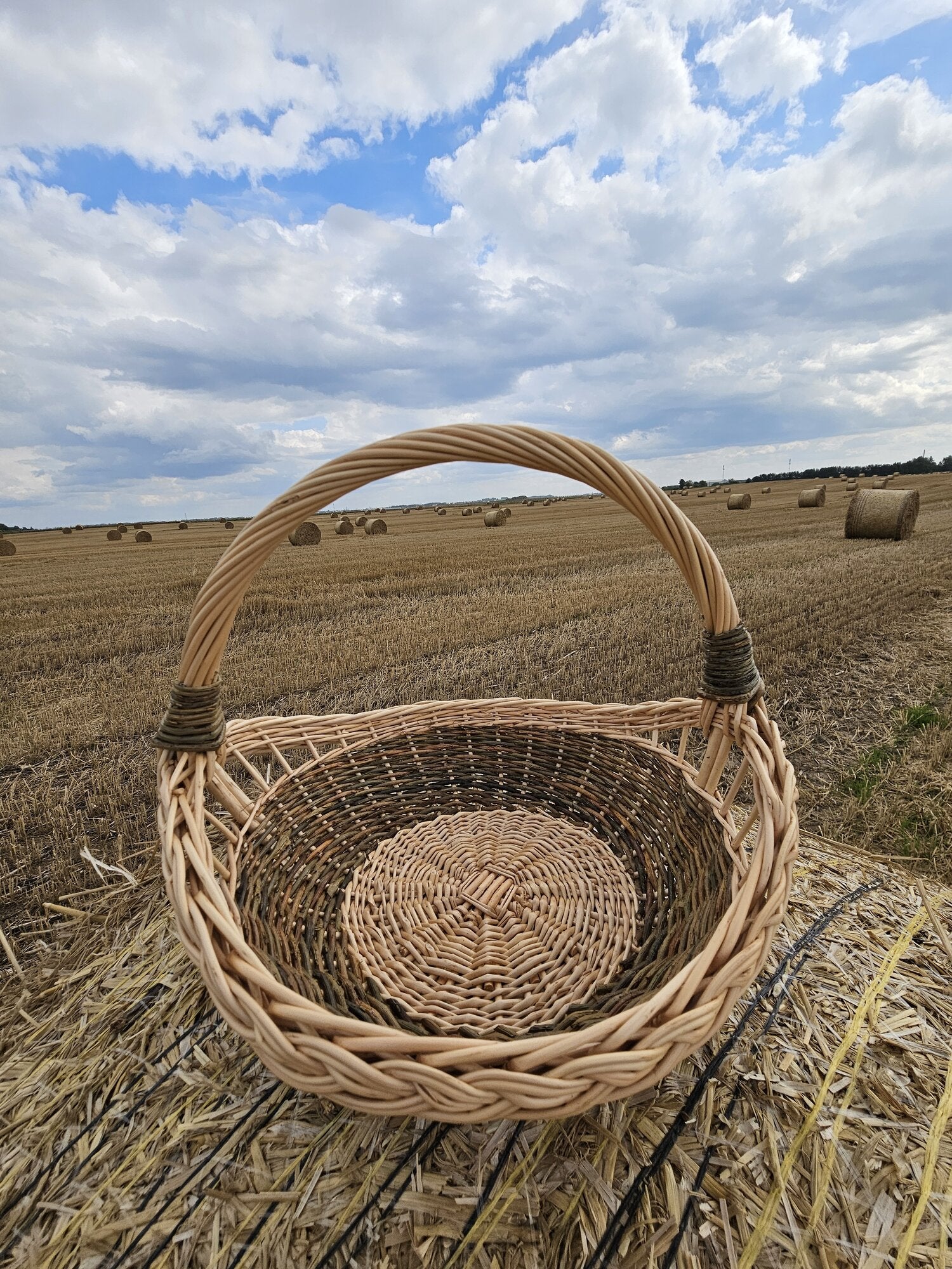 Pintinė 024b