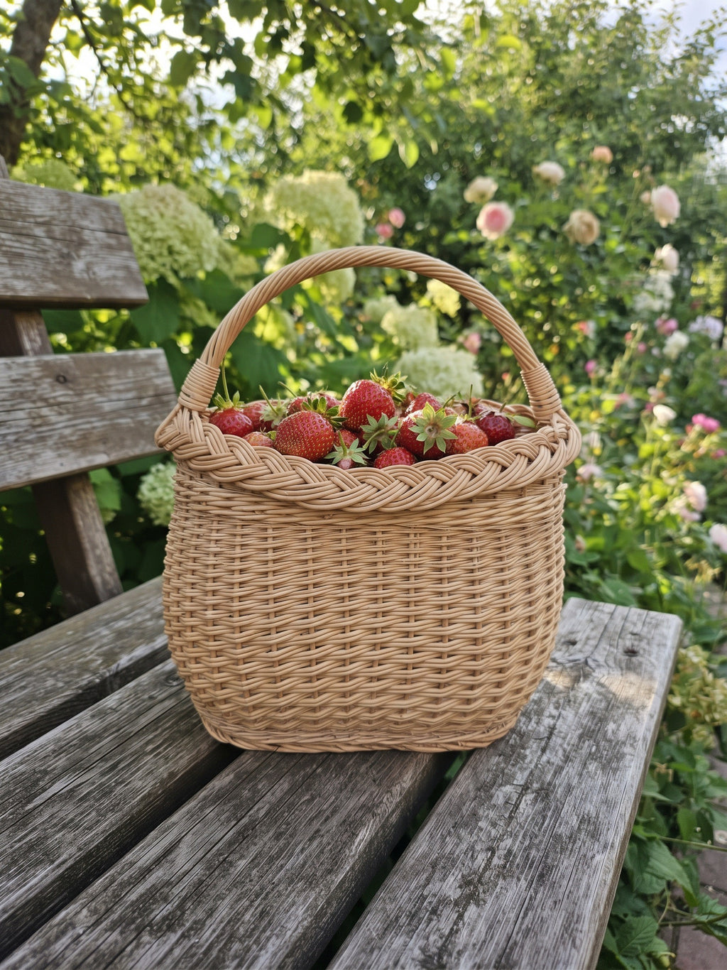 Maža uogų pintinė su rankena, pilna ką tik nuskintų braškių, ant seno sodo suolo tarp hortenzijų
