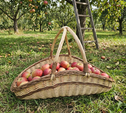Large handwoven willow garden trug with two handles crossing at the top, filled with red apples on the grass of an orchard by a ladder
