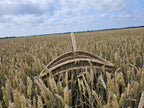 Didžiulė pintinė