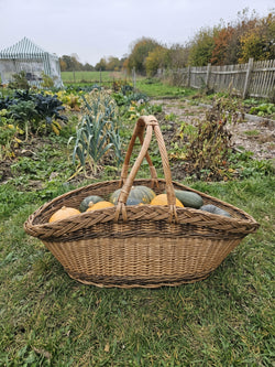 Großer Erntekorb aus Weide mit zwei Henkeln, die sich über der Mitte treffen, gefüllt mit Kürbissen im herbstlichen Gemüsegarten