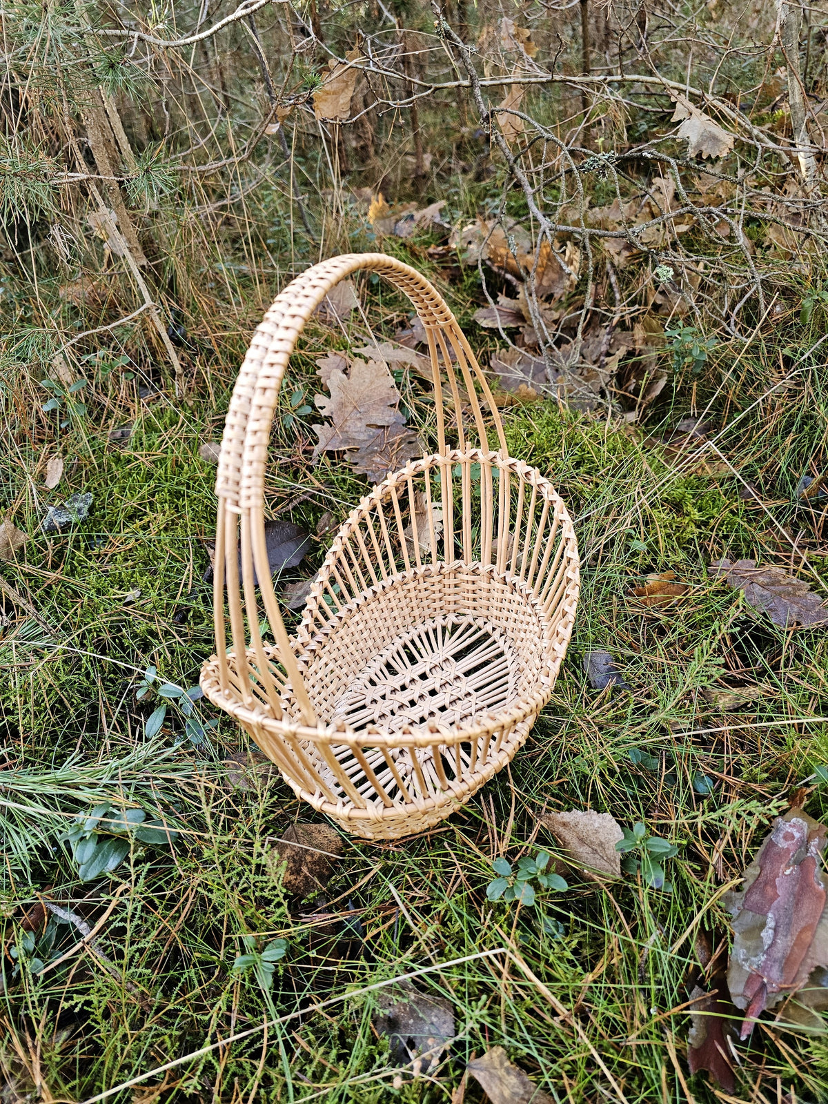 Ažūrinė pintinė su aukšta rankena ant samanų, žolės ir lapų, matyti stačios šonų vytelės