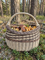 Vytelių pintinė su lanko formos rankena, pilna miško grybų, ant samanų ir bruknienojų pušyne