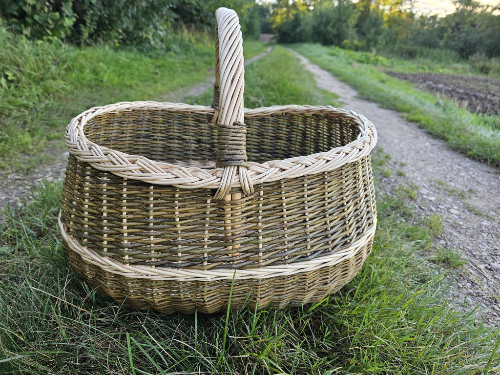 Gili ovali grybų pintinė su kasele pintu kraštu ir kitos spalvos pintomis juostomis ant žolės prie kaimo žvyrkelio