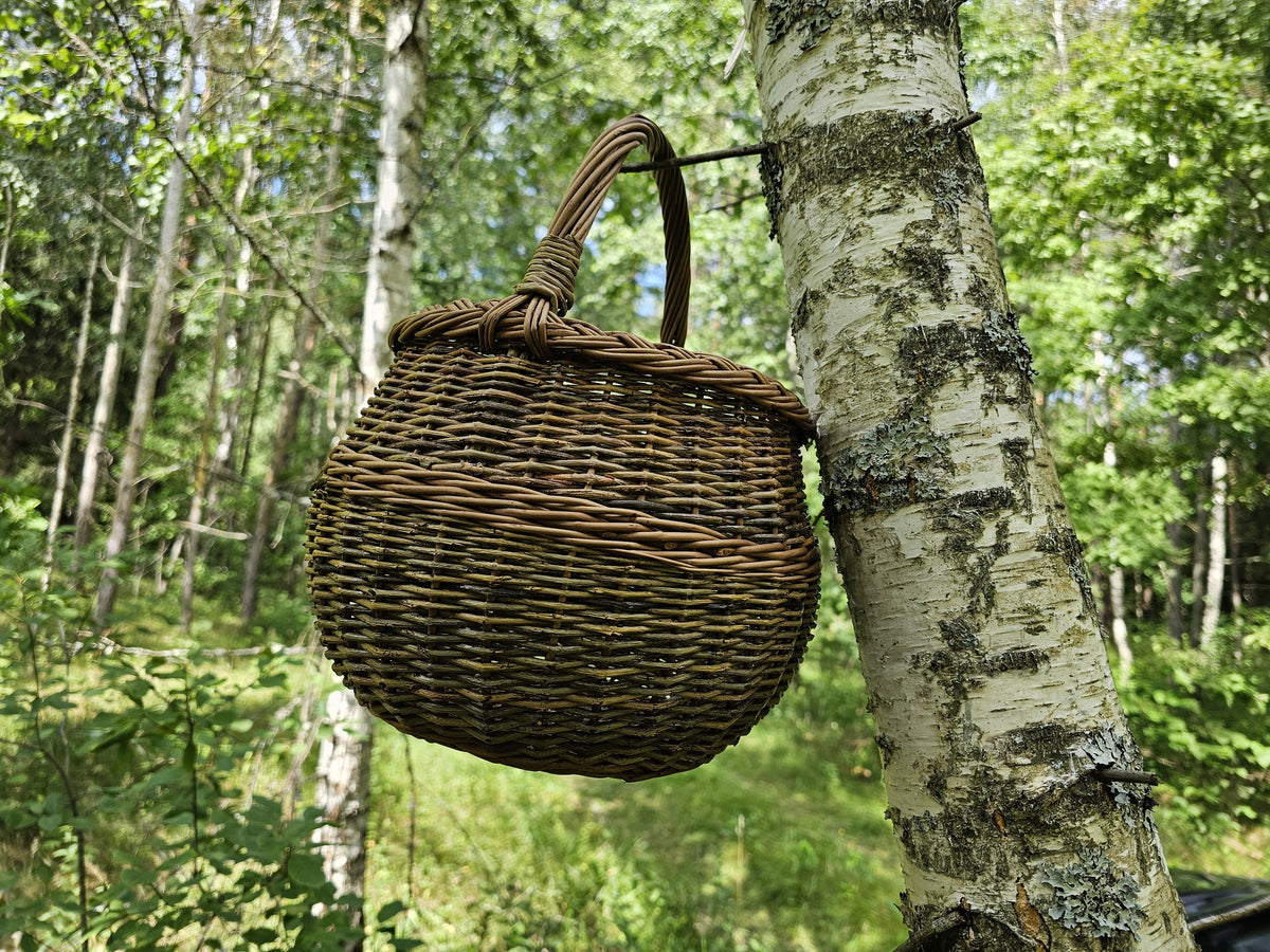 Vytelių pintinė kabo ant metalinio kablio ant balto beržo kamieno miške