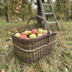 Large rectangular firewood basket with a tall twisted handle full of freshly picked apples on the grass in an orchard