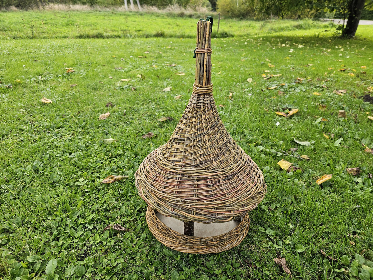 Aukšta lesykla ant žolės sode, nufotografuota iš apačios