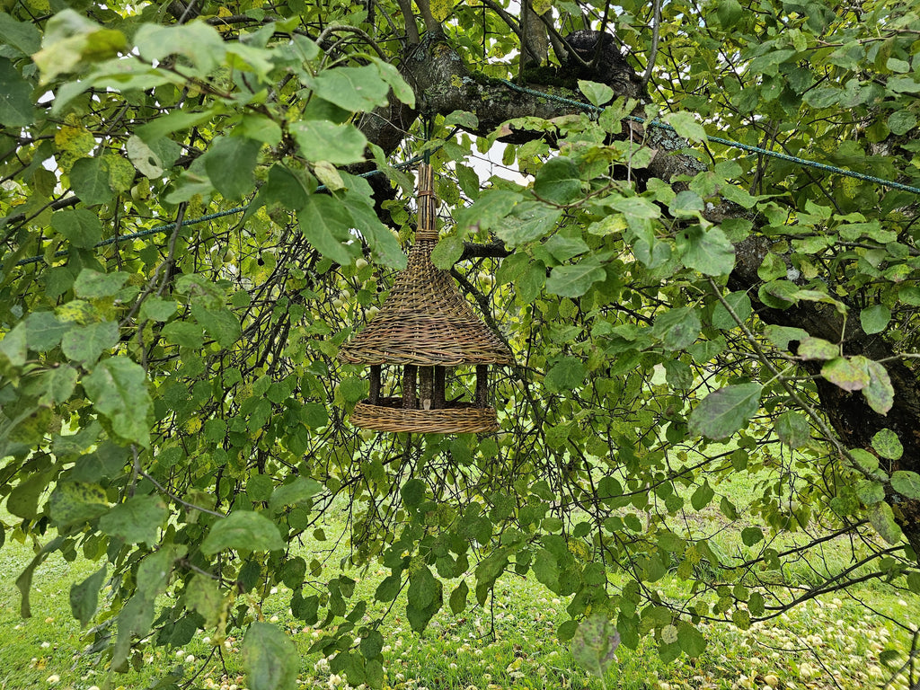 Aukšta pinta lesykla kabo tarp lapuotų obels šakų vasarą