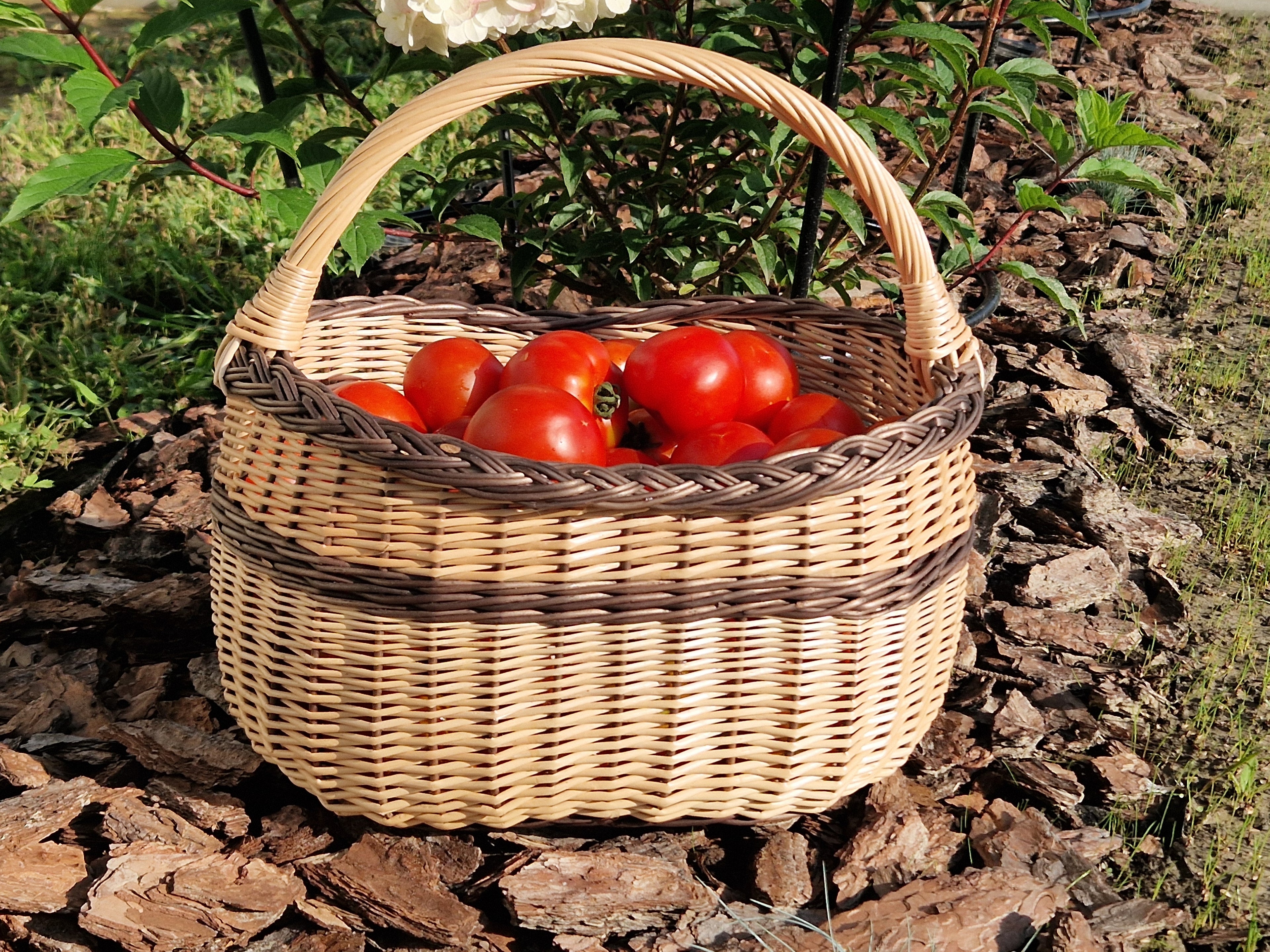 Rankų darbo pinti maisto rinkimo krepšiai