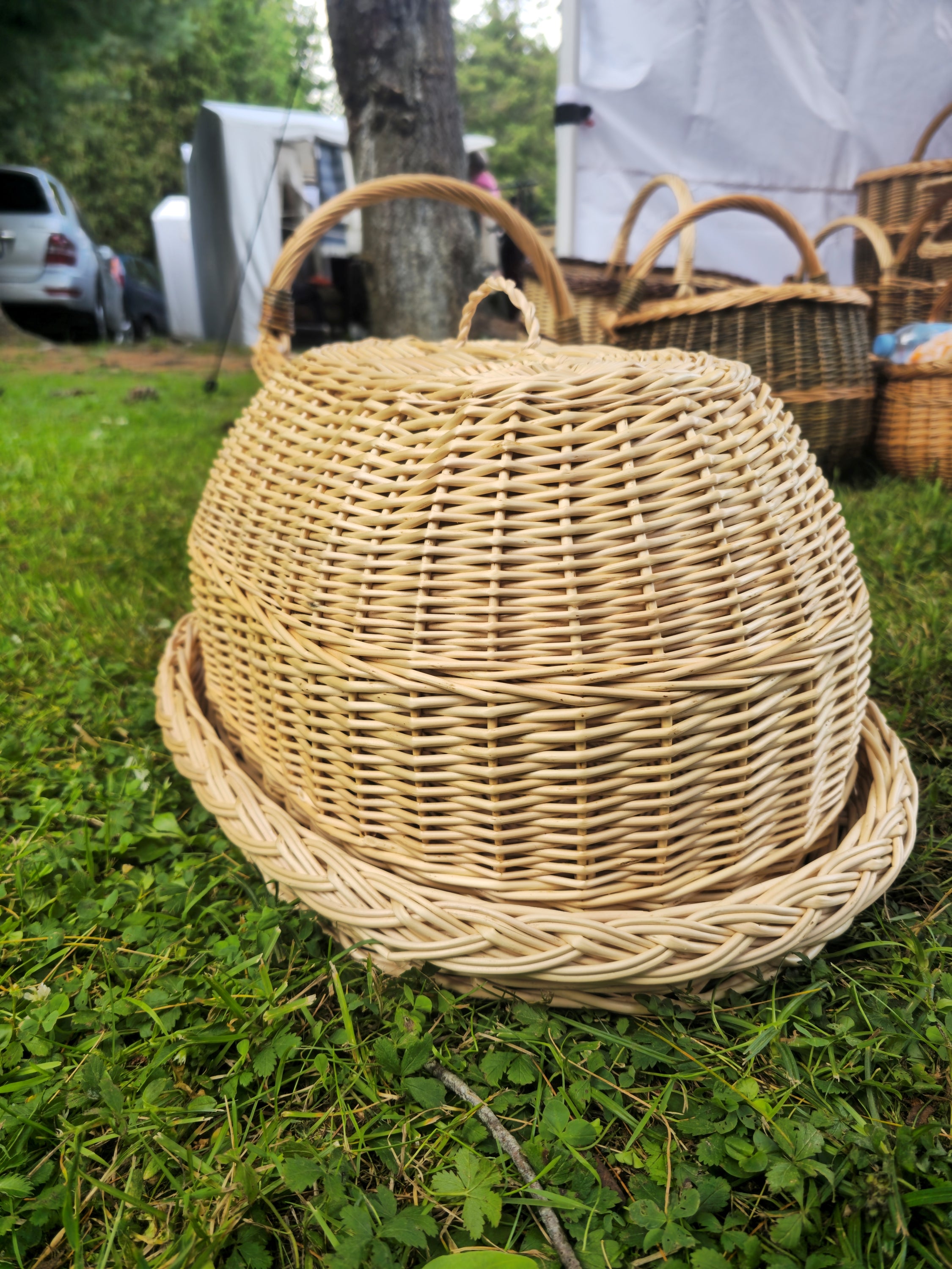 Rankomis austas pintas padėklas su kupoliniu dangteliu