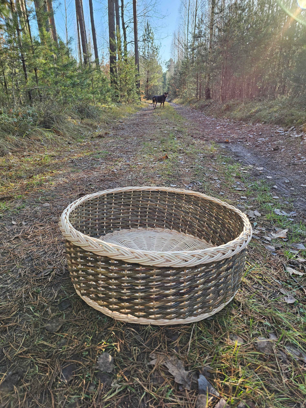 Wicker Bowl 023b