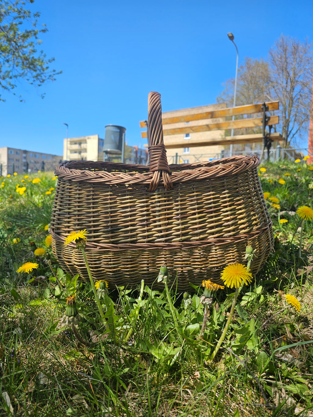 Didelė pintinė 047b