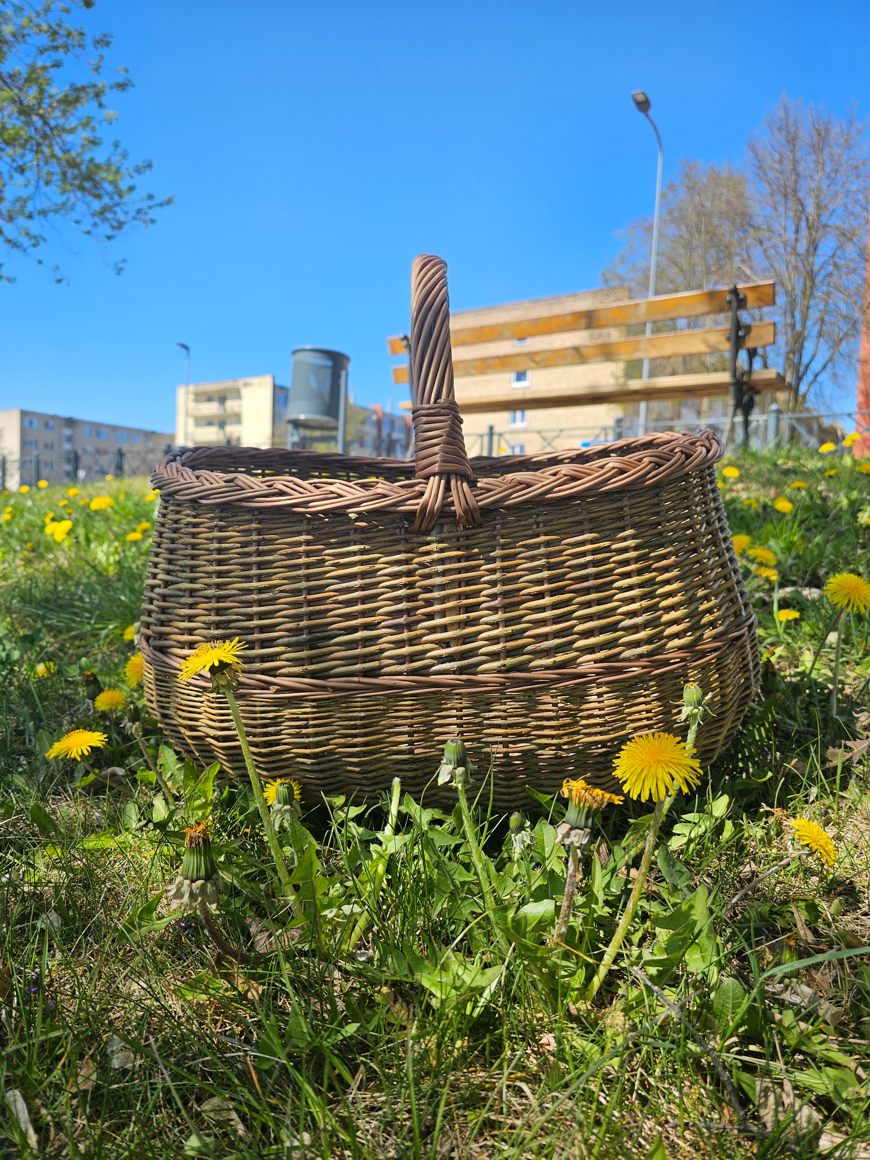 Didelė pintinė 047b