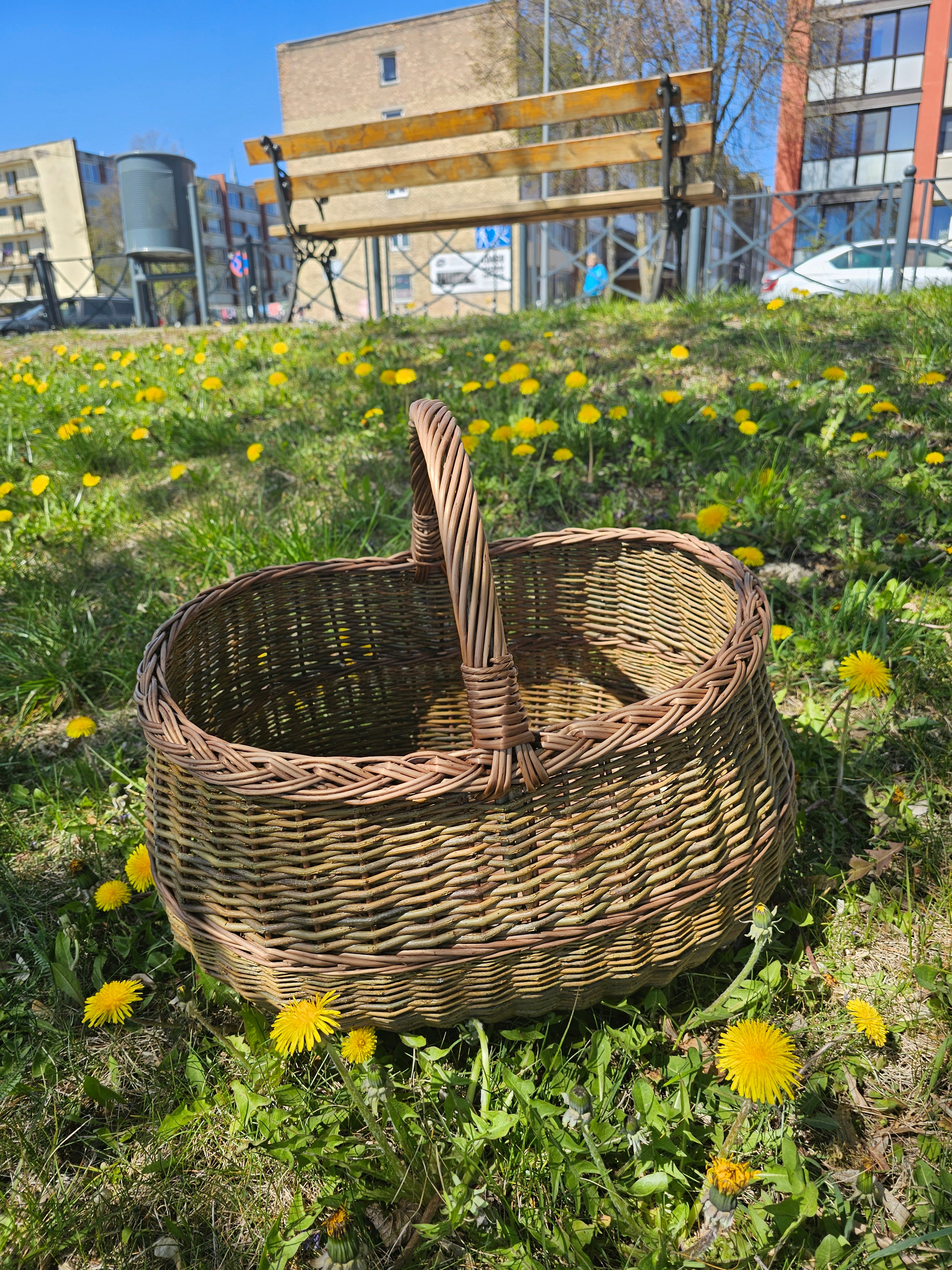 Didelė pintinė 047b