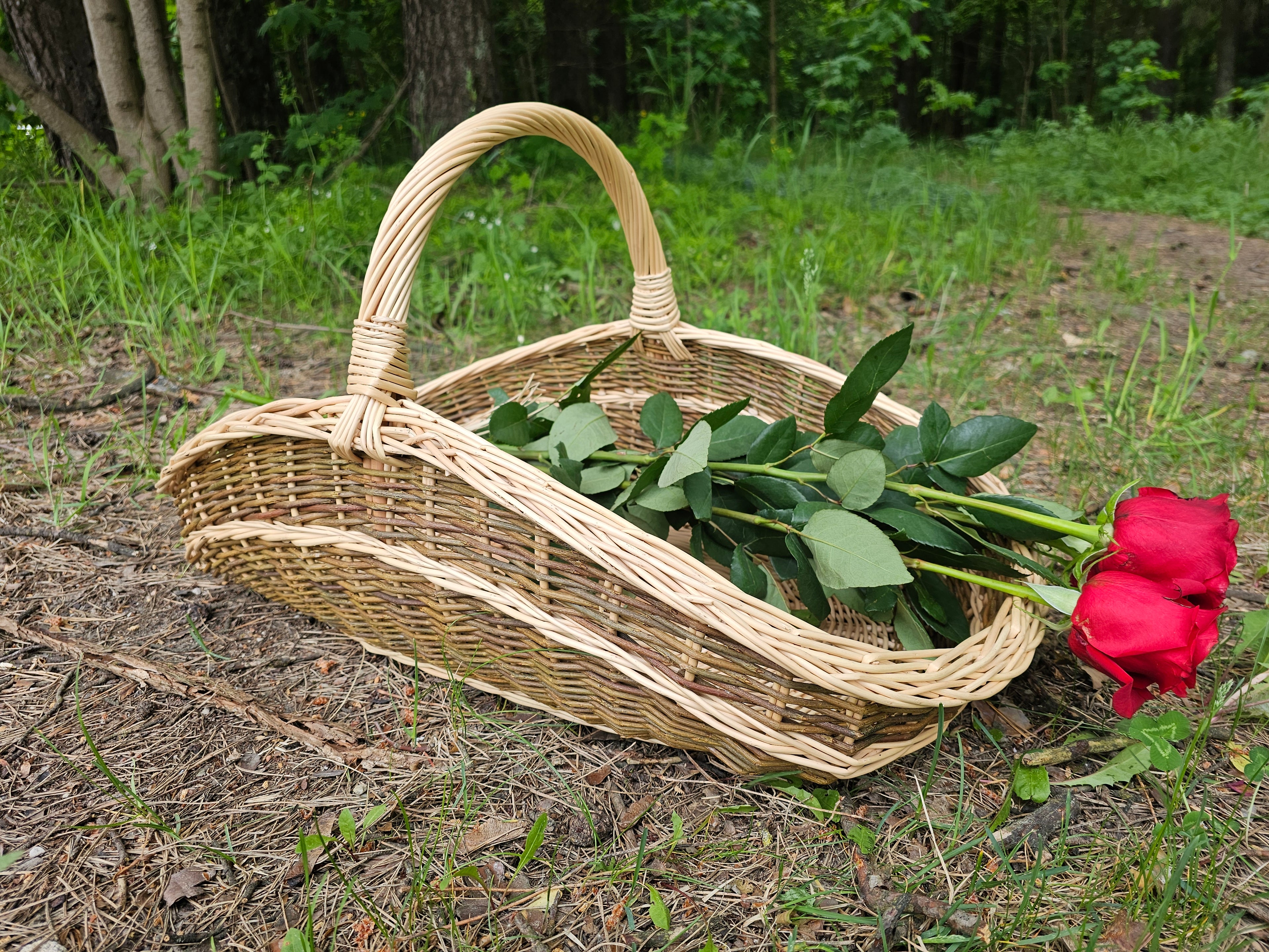 Didelė pintinė 027b