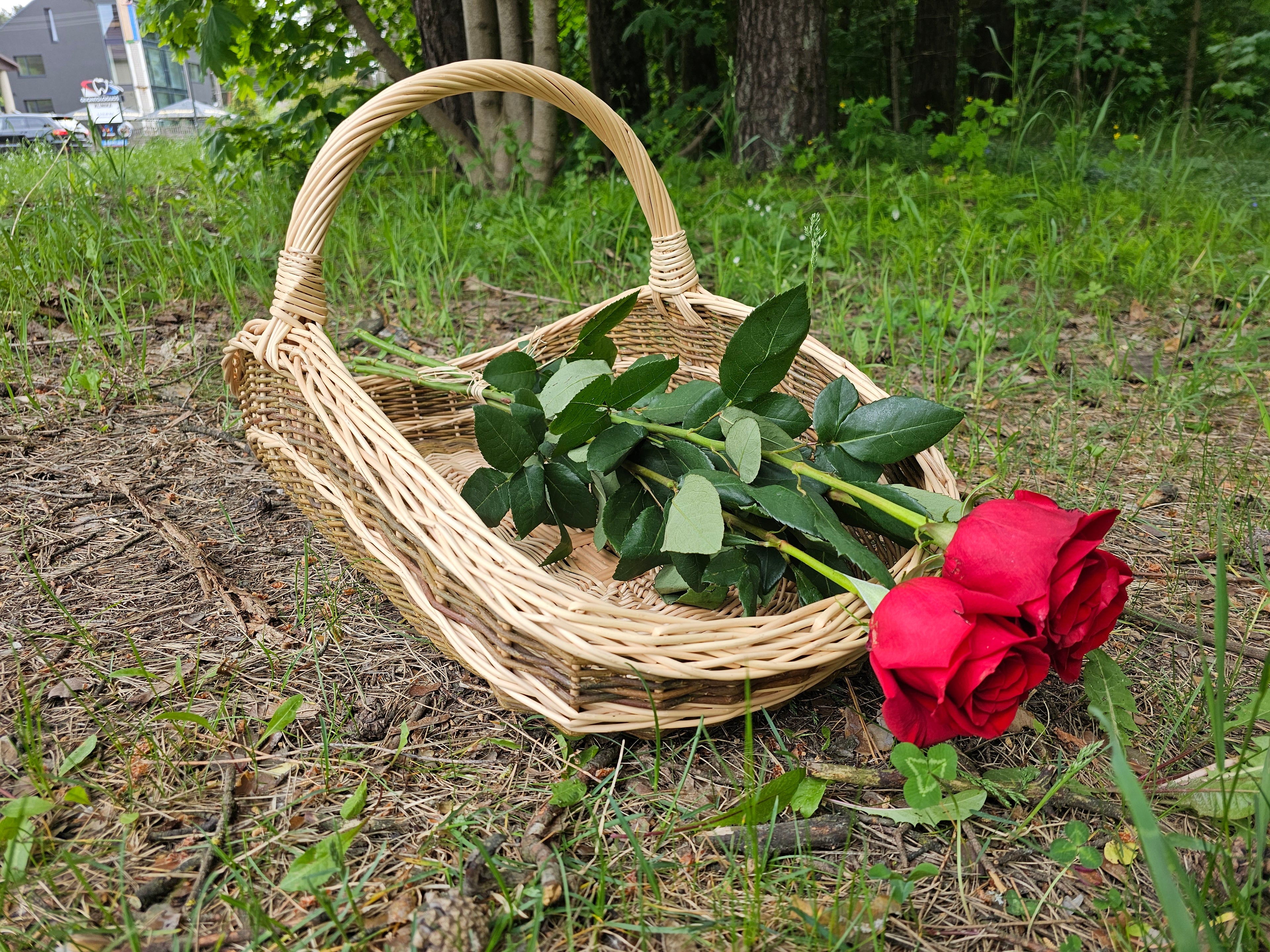 Didelė pintinė 027b