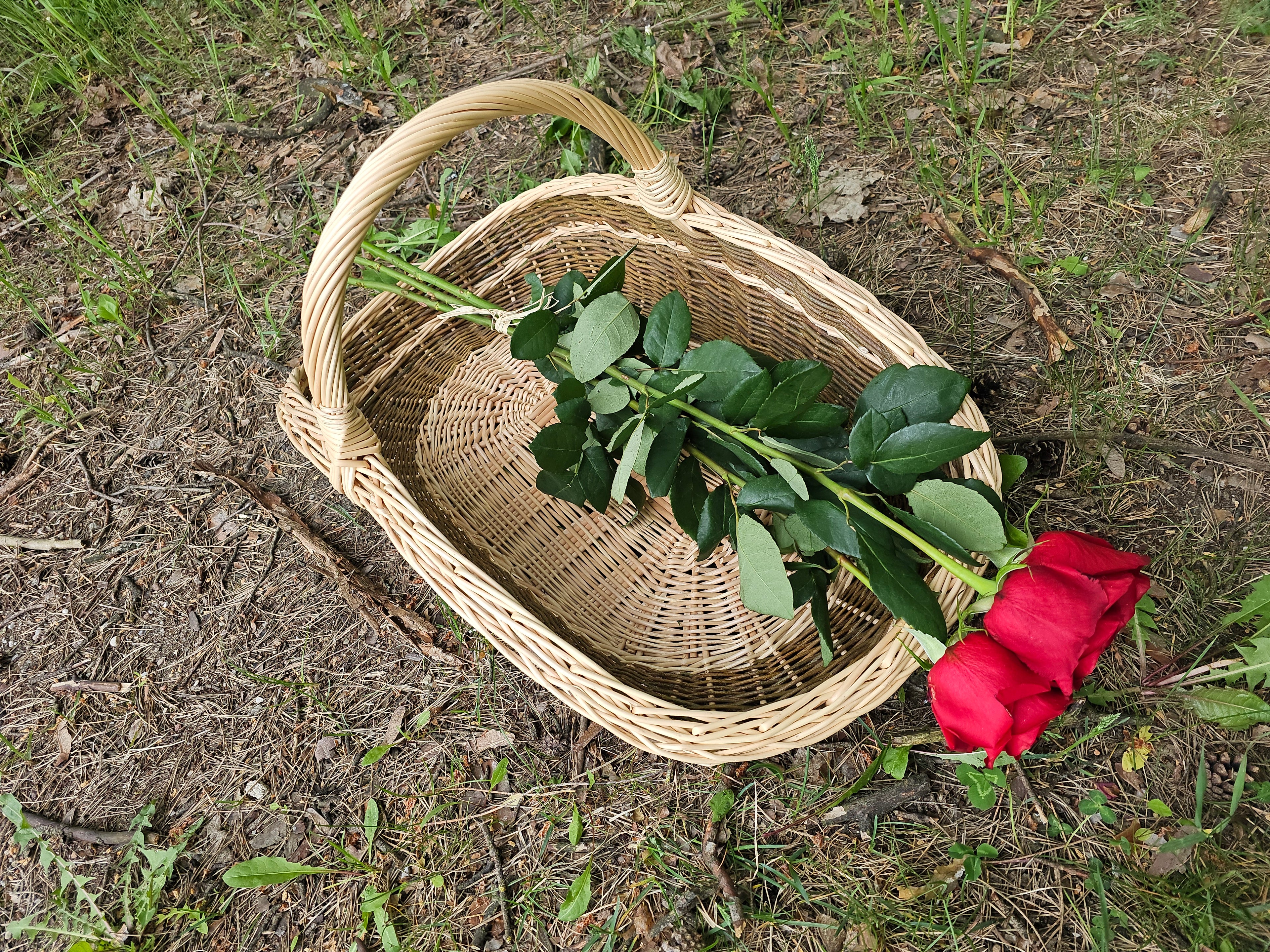 Didelė pintinė 027b