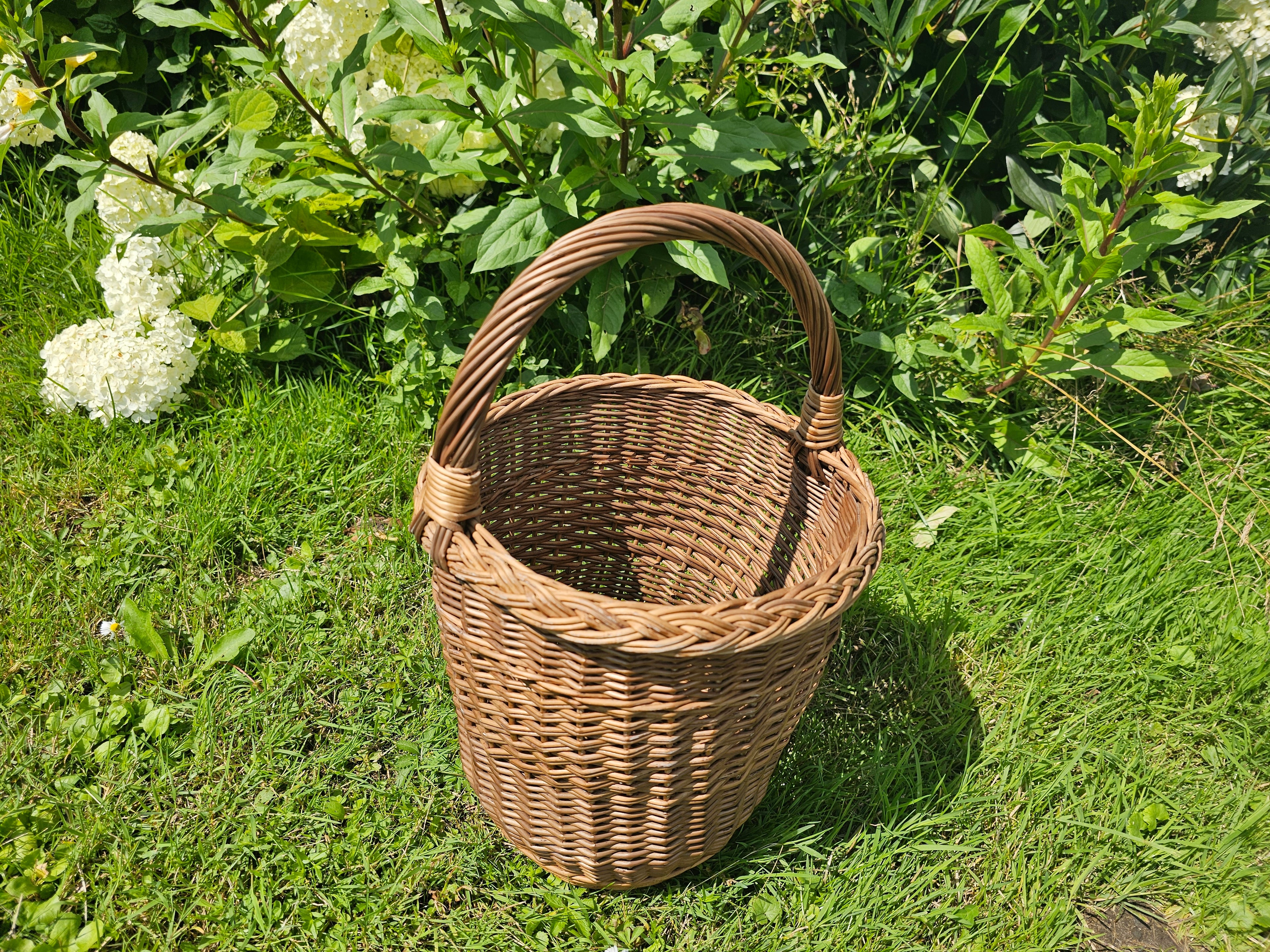 Pintinė 010b