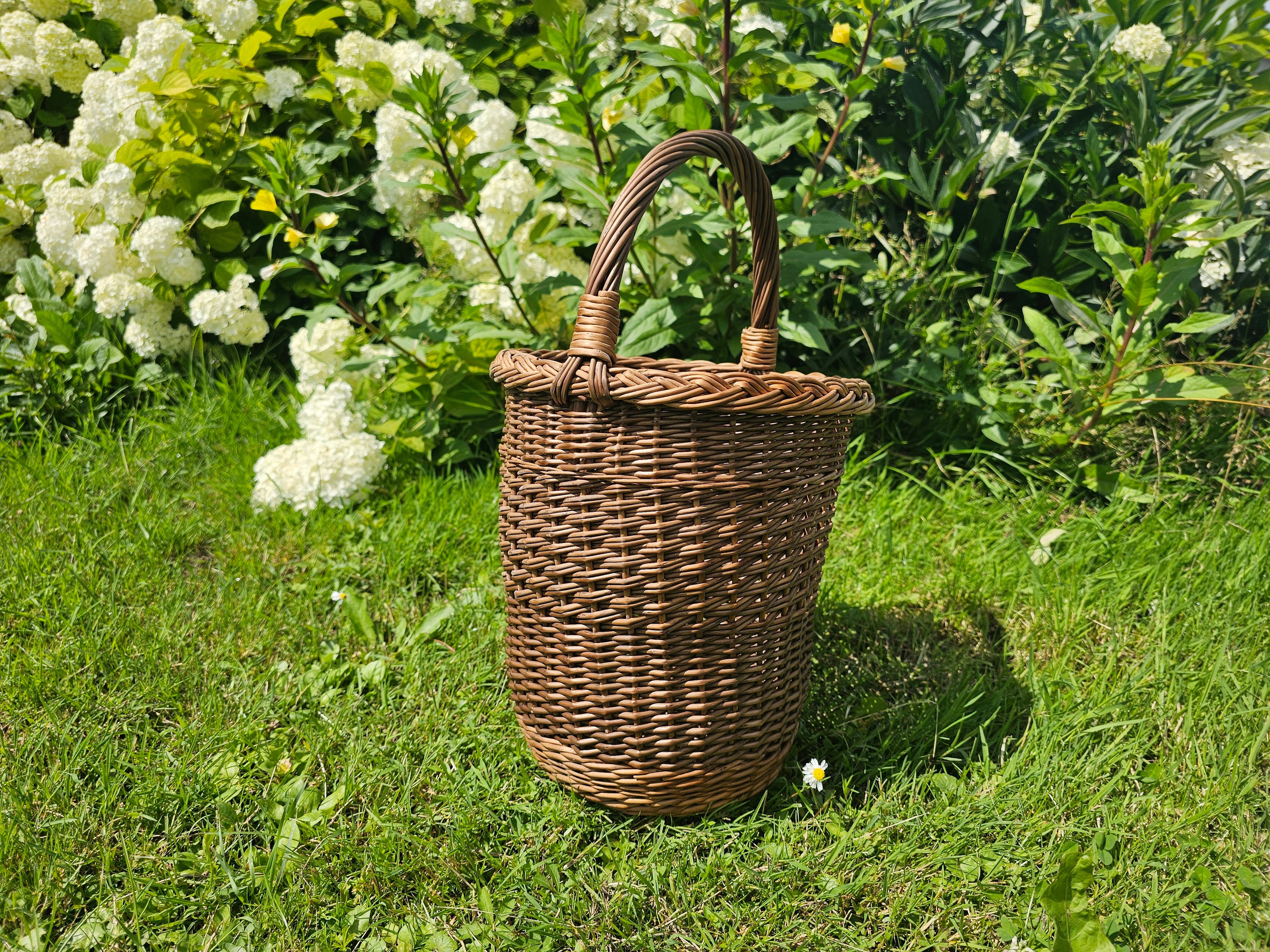 Pintinė 010b