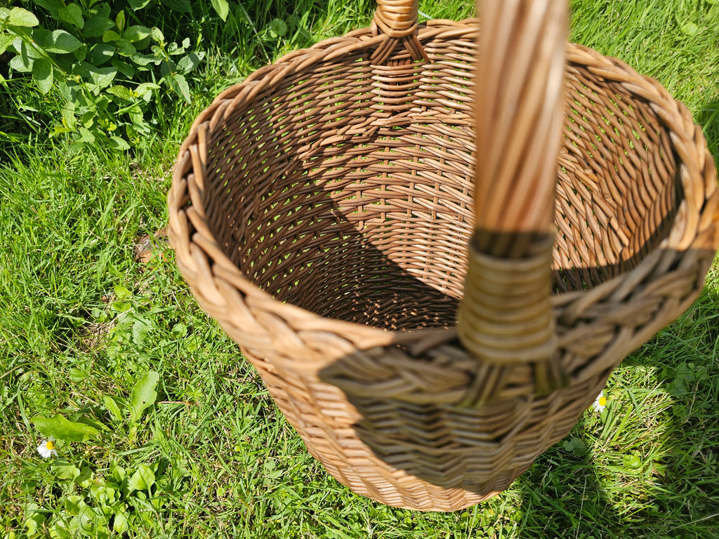 Pintinė 010b