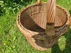 Pintinė 010b