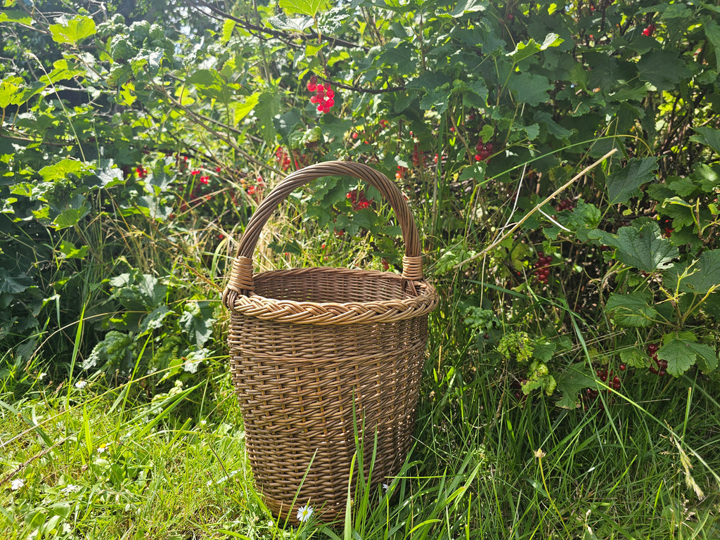 Pintinė 010b