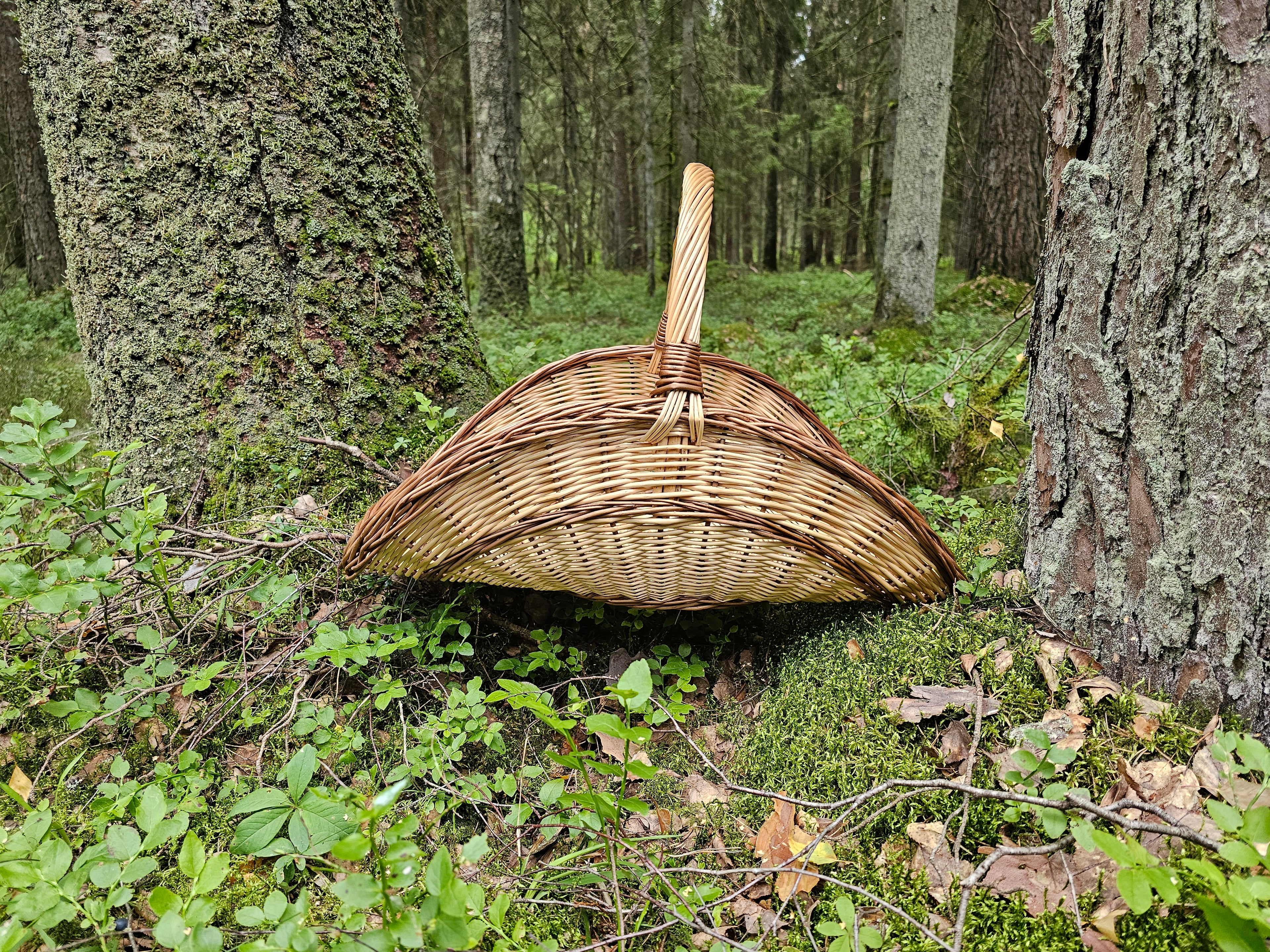 Gėlių pintinė „031b-2“