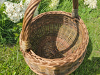 Vazoninė pintinė