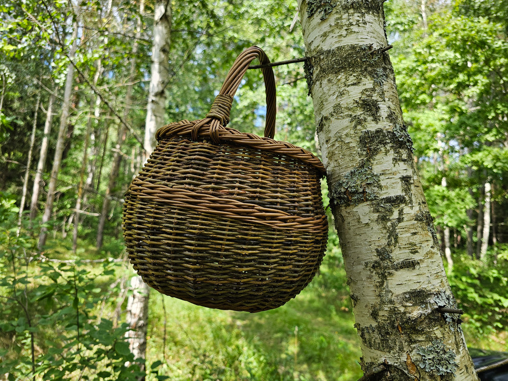 Vazoninė pintinė