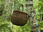 Vazoninė pintinė