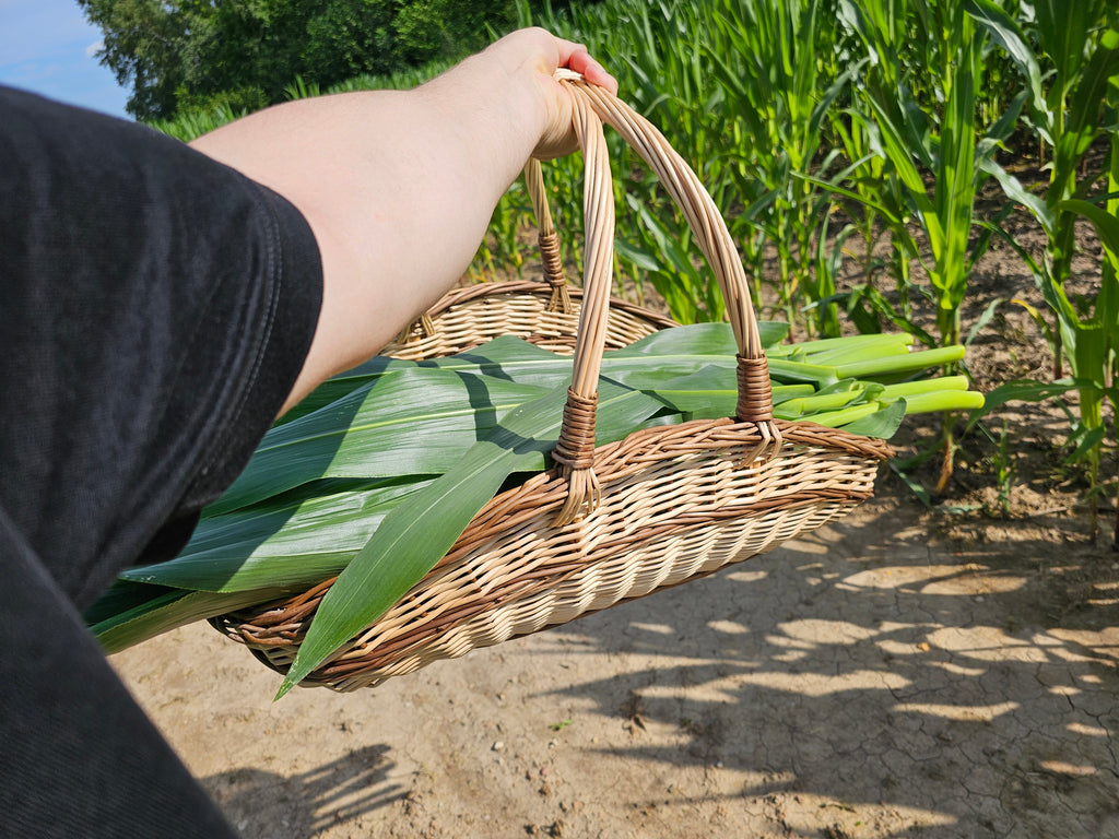 Didelė pintinė su rankenomis