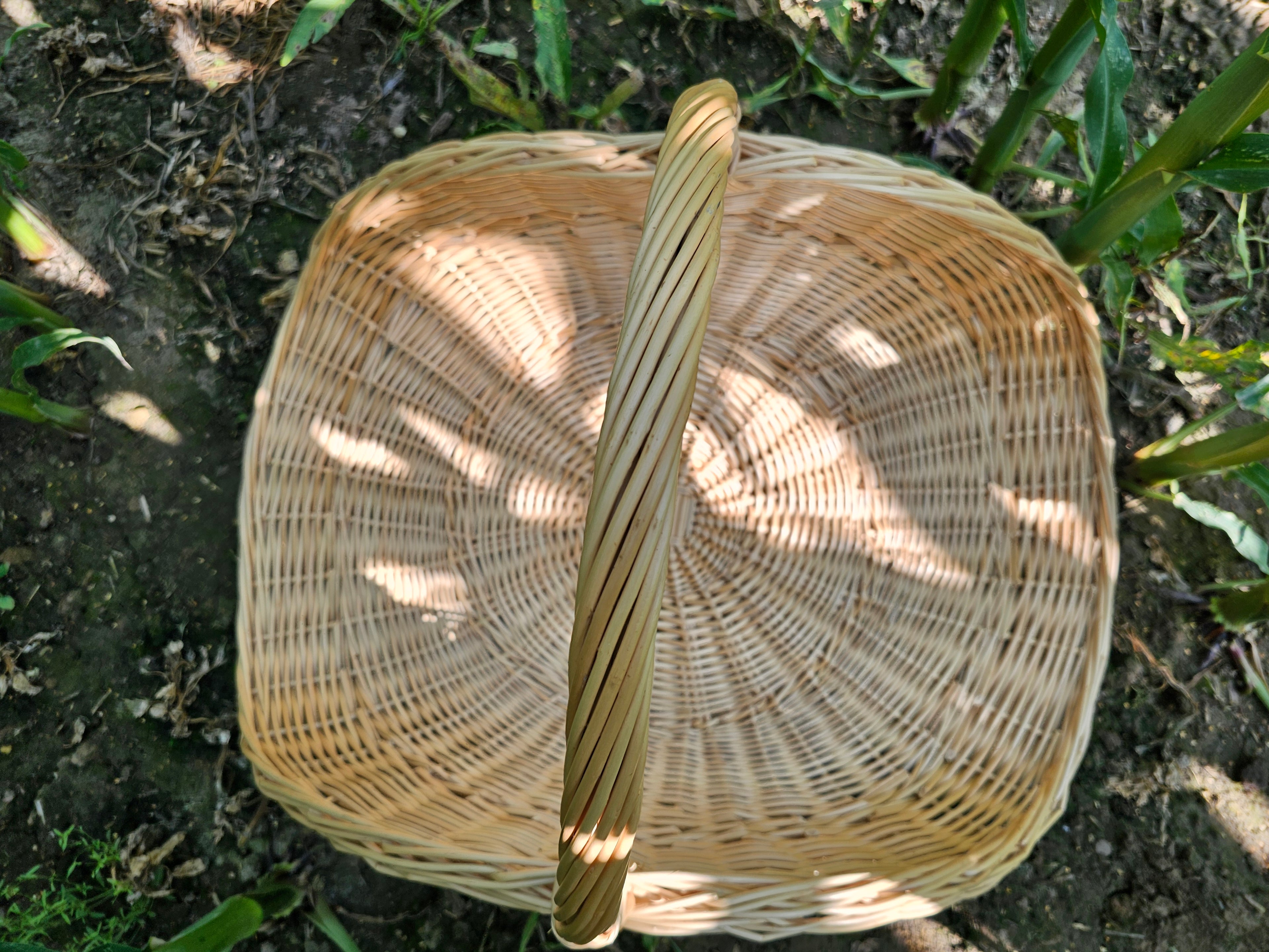 Gėlių pintinė 031b