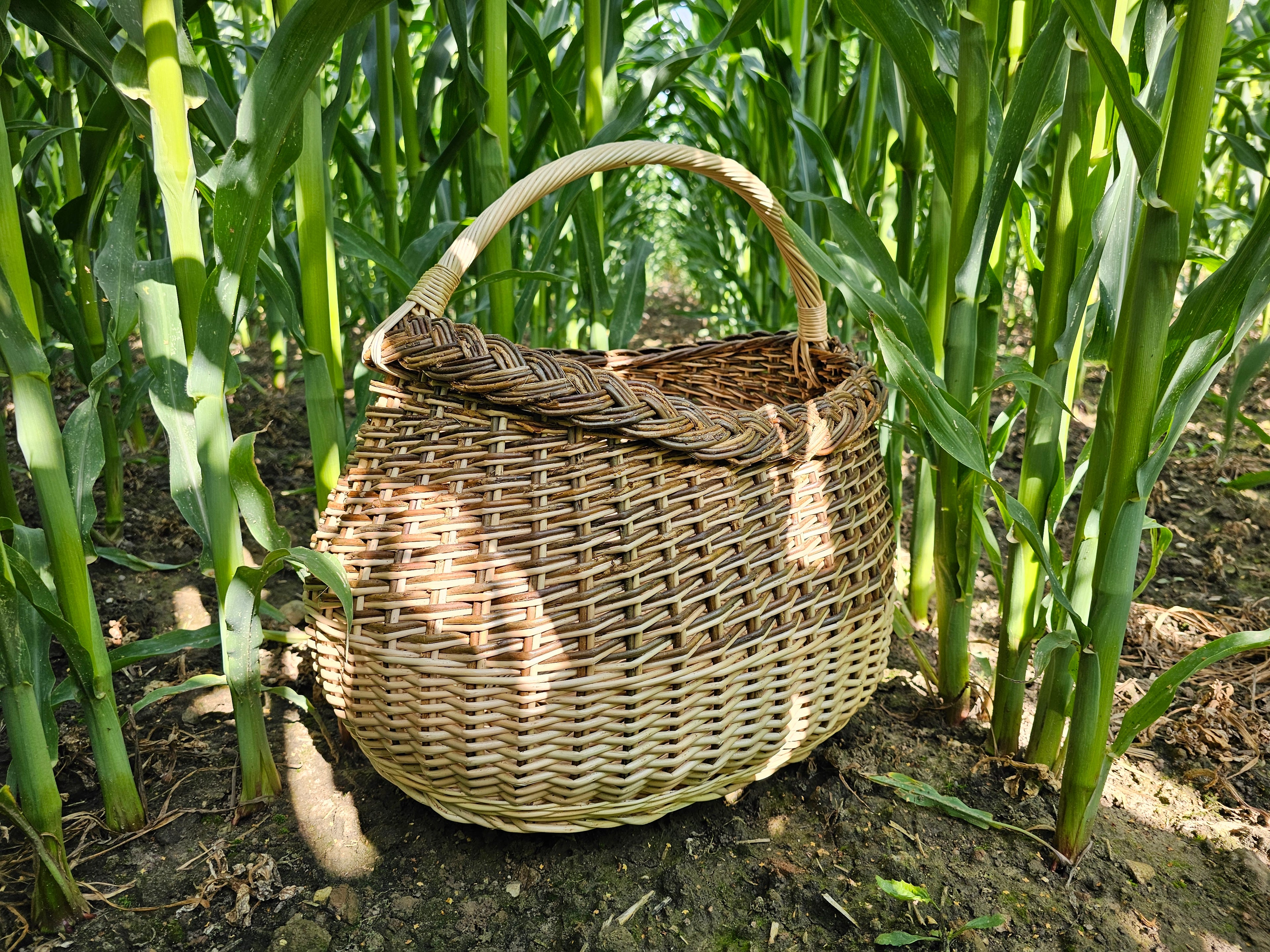 Pintinė 015r