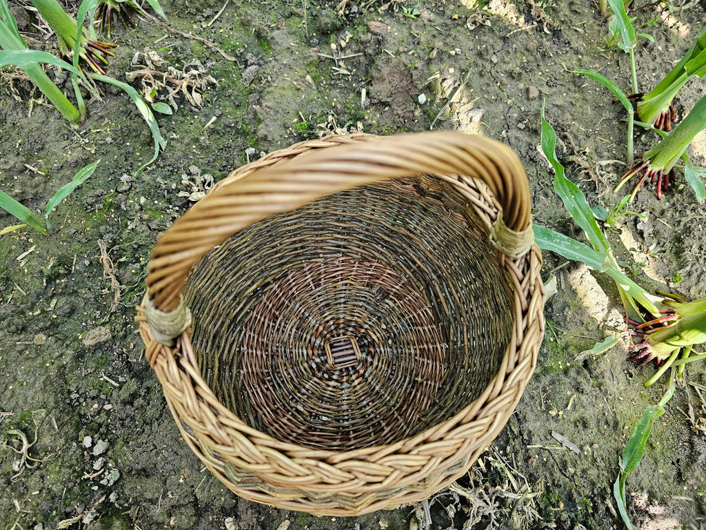 Vazoninė pintinė